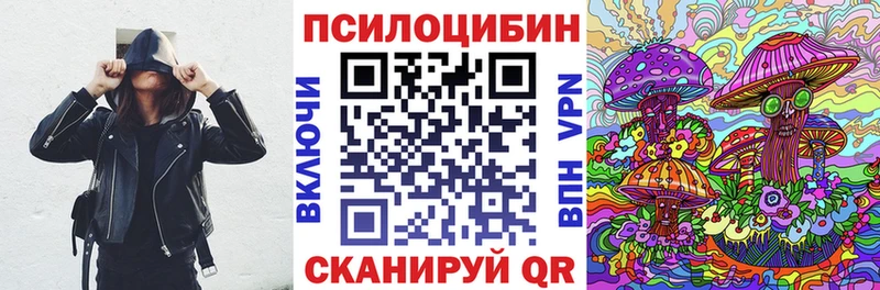 Купить  Сосновый Бор  Псилоцибиновые грибы Magic Shrooms 